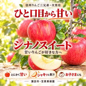 2026 10月中旬発送 甘みが強いシナノスイ...の詳細画像1