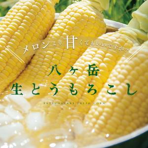 ハマラノーエン 八ヶ岳生とうもろこし 高原の生で食べられるトウモロコシ 5本or10〜12本入 最高糖度22度 マツコの知らない世界で紹介｜ハチカッテ ヤフー店