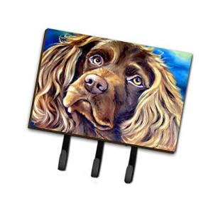 ボイキンスパニエルの商品一覧 通販 Yahoo ショッピング