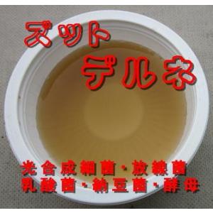 光合成細菌にペプチド配合 有用菌や土着菌の生理...の詳細画像1