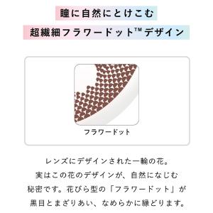 2ウィークメニコンRei 1箱6枚 度あり 度...の詳細画像3