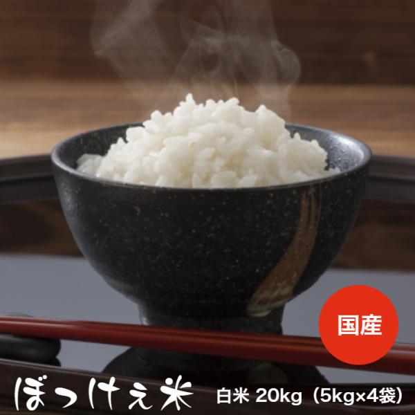 令和5年産入り ぼっけぇ米 20kg 【5kg×4袋】  白米 食品 オリジナルブレンド米 国産 安...