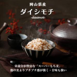 令和7年産 岡山県産 ダイシモチ 950g 1...の詳細画像1