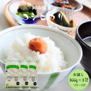 令和7年産 岡山県産 コシヒカリ 900g 【3...の商品画像