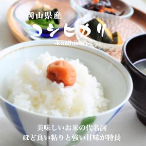 令和7年産 岡山県産 コシヒカリ 900g 【...の詳細画像1