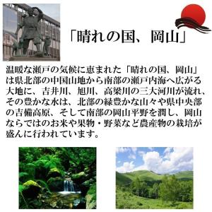 令和7年産 岡山県産 あきたこまち 無洗米 9...の詳細画像2