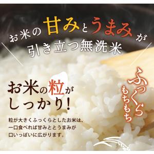 令和7年産入り ぼっけぇ(ぼっけえ) 無洗米 ...の詳細画像3