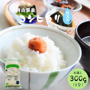 令和7年産 岡山県産 きぬむすめ 300g (2合) 1袋 ポイント消化 白米