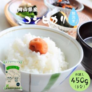 令和5年産 岡山県産 コシヒカリ 無洗米 450g (3合) 1袋 ポイント消化 白米 食品 お試し 1kg以下 メール便 国産 送料無料 500円ぽっきり