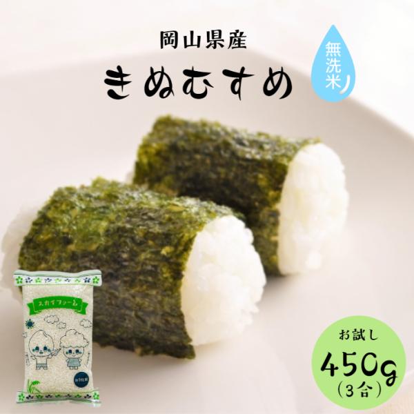 令和5年産 岡山県産 きぬむすめ 無洗米 450g (3合) 1袋 里海米 ポイント消化 白米 食品...