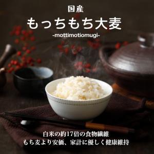 国内産 もっちもち大麦 5kg 1袋 α化処理...の詳細画像1