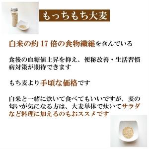 国内産 もっちもち大麦 5kg 1袋 α化処理...の詳細画像2