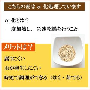 国内産 もっちもち大麦 5kg 1袋 α化処理...の詳細画像3