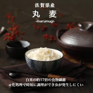 令和7年産 佐賀県産 丸麦 (大麦) 950g...の詳細画像1