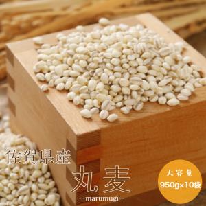 麦 国産  令和3年産 佐賀県産 丸麦(大麦) 950g×10袋 α化