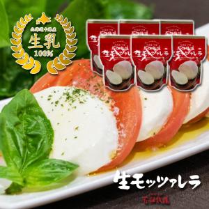 北海道 十勝産 生乳100% 生 モッツァレラ 100g×6個セット 送料無料 花畑牧場 赤パッケージ ナチュラルチーズ 乳製品 モッツアレラ