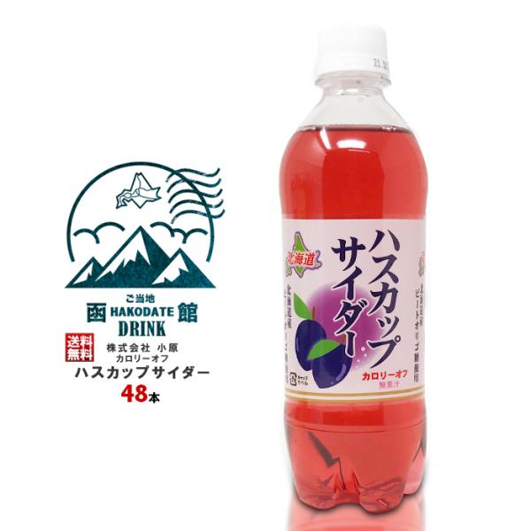 株式会社小原 北海道 ハスカップ サイダー カロリーオフ （２ケース）/ 送料無料 500ml ペッ...