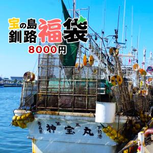 東北海道福袋 第1弾 8点 広洋いくら 釧路の塩辛 さんま 焼鮭手ほぐし ほっけ一夜干し 東水の天然紅さけ切身 タラコ あと１つは何かが入る！【凍】[A-1]