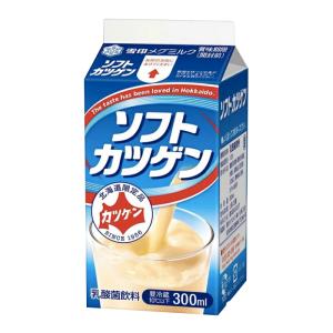 ソフトカツゲン 300ml 10本 / 北海道地元ジュース 雪印メグミルク