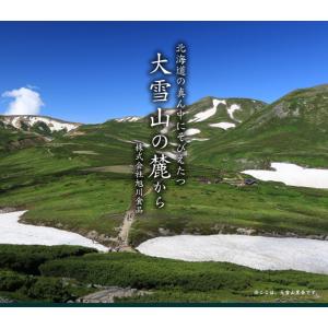 メール便 送料無料 北海道産黒豆使用 ちょっと...の詳細画像3