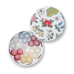 六花亭 六花のつゆ ミニ缶 北海道 お土産 お菓子 ギフト プレゼント チョコ お返し 母の日 2026 父の日 人気 食べ物 義母 義父