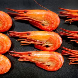 北海道 根室産 北海しまえび 300g /  / シマエビ