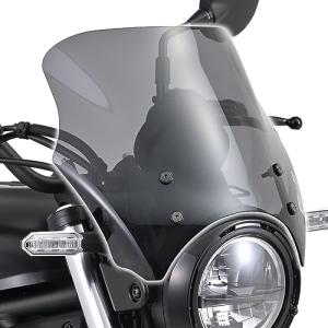 デイトナ (Daytona) バイク用 スクリーン エリミネーター (24) 専用