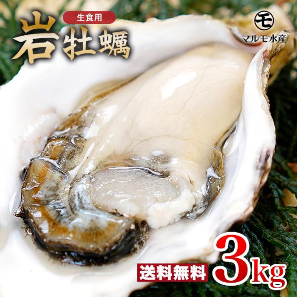 《九十九島産》殻付き岩牡蠣 生食用 3kg 1個130〜180g【送料無料】開け方ガイド・ナイフ付き...