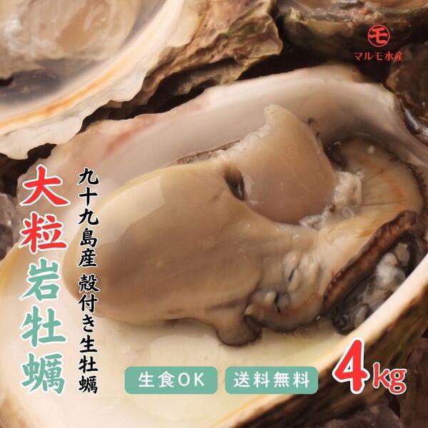 【夏が最旬】生食OK！1個200〜270gの大粒！《九十九島産》殻付き岩牡蠣 生食 4kg【送料無料...