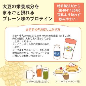 プロテイン ソイプロテイン 無添加 大豆丸ごと...の詳細画像2