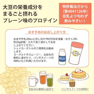 プロテイン ソイプロテイン 無添加 大豆丸ごと...の詳細画像2