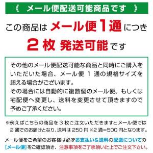 男物 肌着 Tシャツ半襦袢 半袖 夏用衿 高級...の詳細画像2
