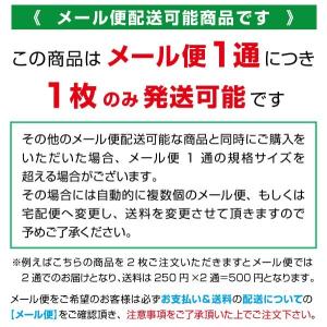 男物 肌着 Tシャツ半襦袢 半袖 ドライメッシ...の詳細画像2