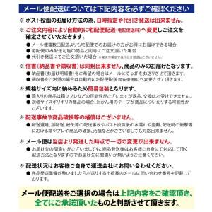 男物 肌着 Tシャツ半襦袢 半袖 ドライメッシ...の詳細画像4