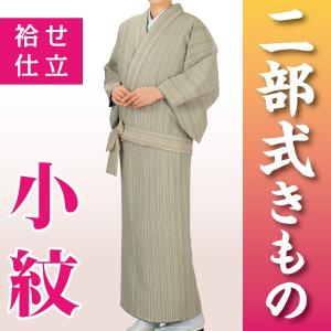 二部式きもの 袷せ仕立 小紋 和装 着物 時印 5734 : アビック・ネット