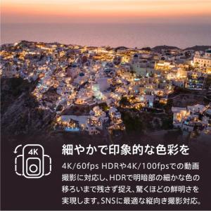 ディージェイアイ ドローン DJI Mini ...の詳細画像4