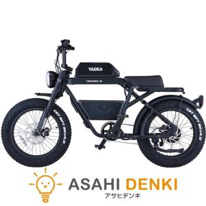 自転車 サイクル ハセガワコウギョウ 長谷川工業 電動アシスト自転車 公道走行可能 20インチ ブラック 通勤 通学 TRP-01 (BK) ブラック