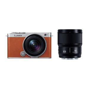 Panasonic 《美品》Panasonic LUMIX S9 標準ズームレンズキット