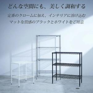 エレクター ワイヤーシェルフ 幅45cm 奥行...の詳細画像2