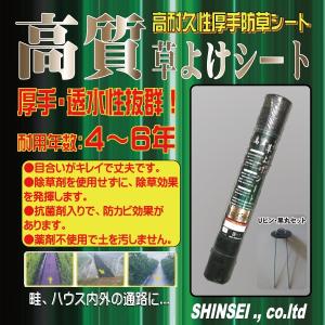 Uピン黒丸セット シンセイ 高質 防草・草よけ...の詳細画像1