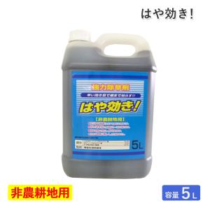 シンセイ 除草剤 はや効き 5Ｌ 非農耕地用 希釈タイプ 液体 液剤 速効 強力 根まで枯らす 一年生雑草 多年生雑草 スギナ 道路公園宅地 運動場 雑草対策 代引不可｜a-do