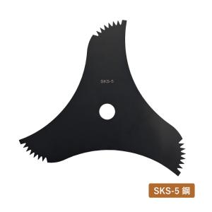 ツキノカメ　SR 3枚 ツキノカメ SR 3枚 ツキノカメ SR 3枚 ヴァイス SR ツキノカメ