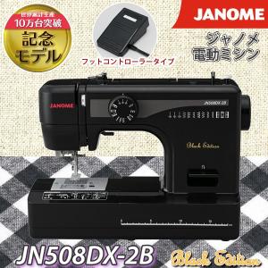 SINGER（シンガー） ロック ミシン S-900DF プロフェッショナル2 2本針