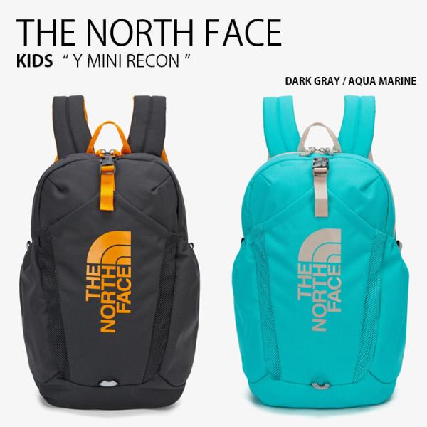 THE NORTH FACE ノースフェイス キッズ リュック Y MINI RECON ヤング ミ...