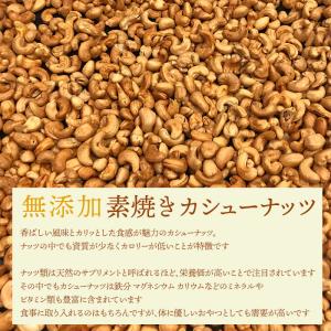 カンボジア産カシューナッツ 50g 素焼き 無...の詳細画像1