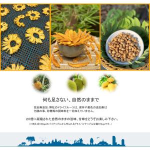 カンボジア産カシューナッツ 50g 素焼き 無...の詳細画像3