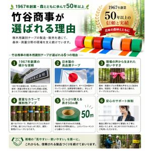樹木用識別テープ 30mm 樹木用 測量 識別...の詳細画像3