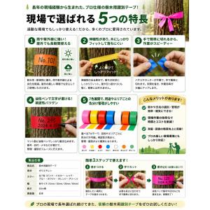 樹木用識別テープ 30mm 樹木用 測量 識別...の詳細画像4