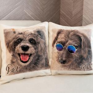 印刷追加 クッション Tシャツ 印刷箇所追加