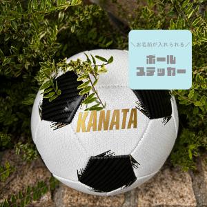 【デザインが選べる◎】 ボール お名前ステッカー / 新学期 / 入園 /入学 / バレー/ サッカー/スポーツ/order